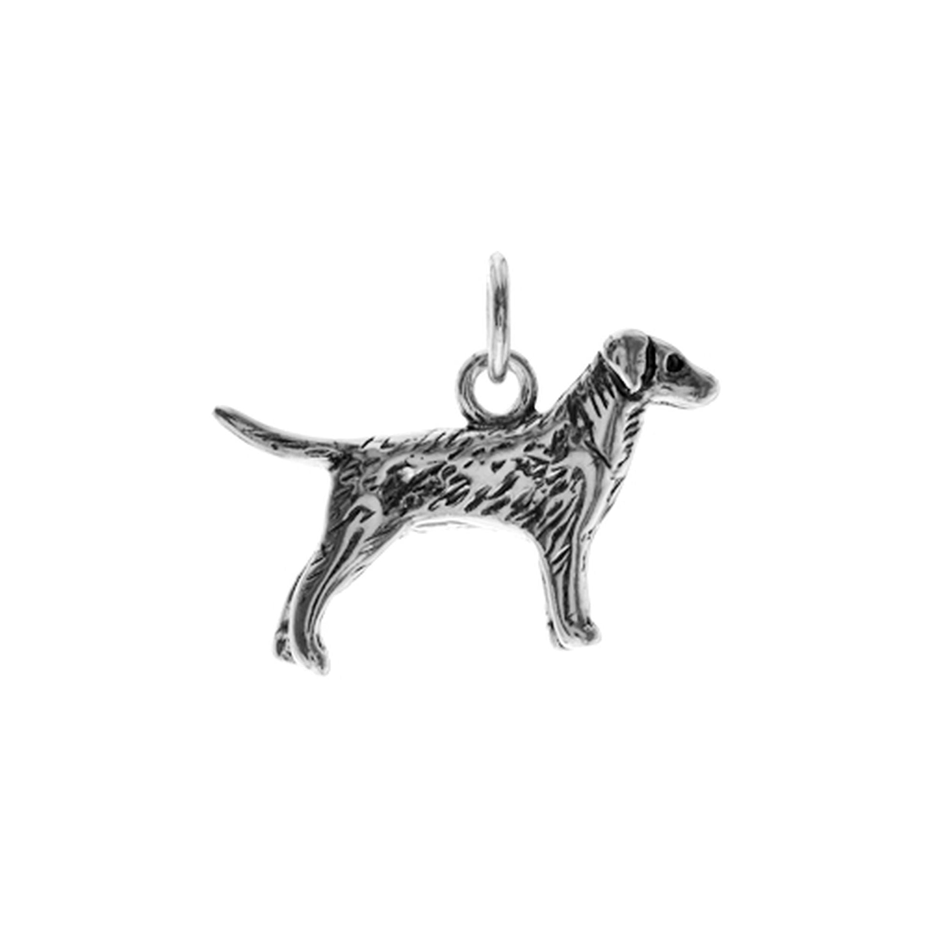 Anya pointer pendant
