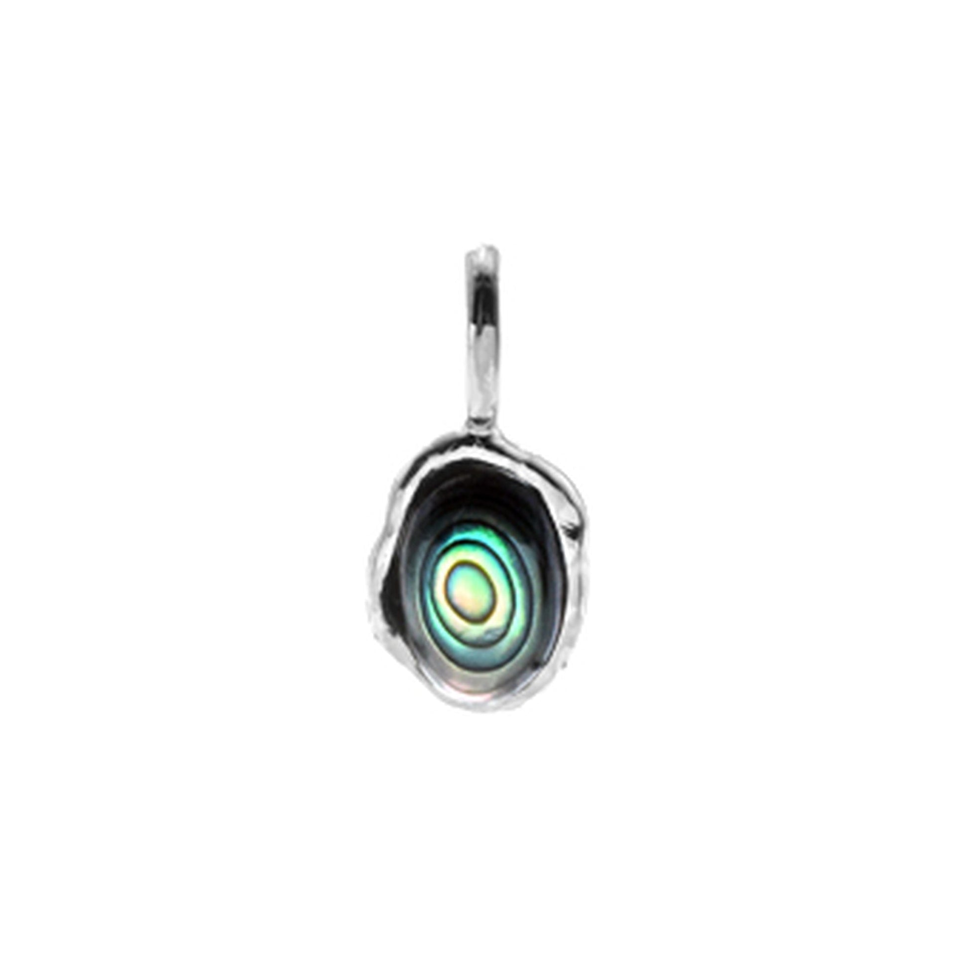 Bronwen organic paua shell pendant