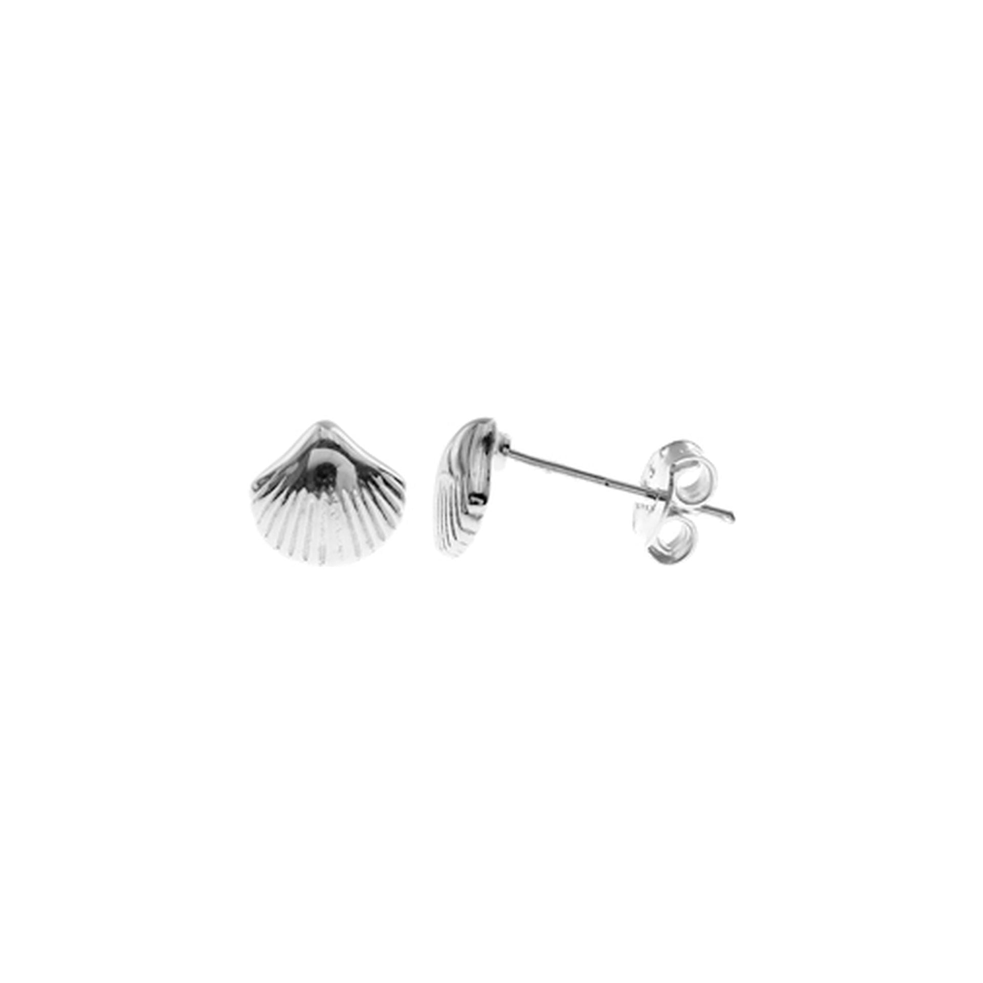 Mila cockle shell studs