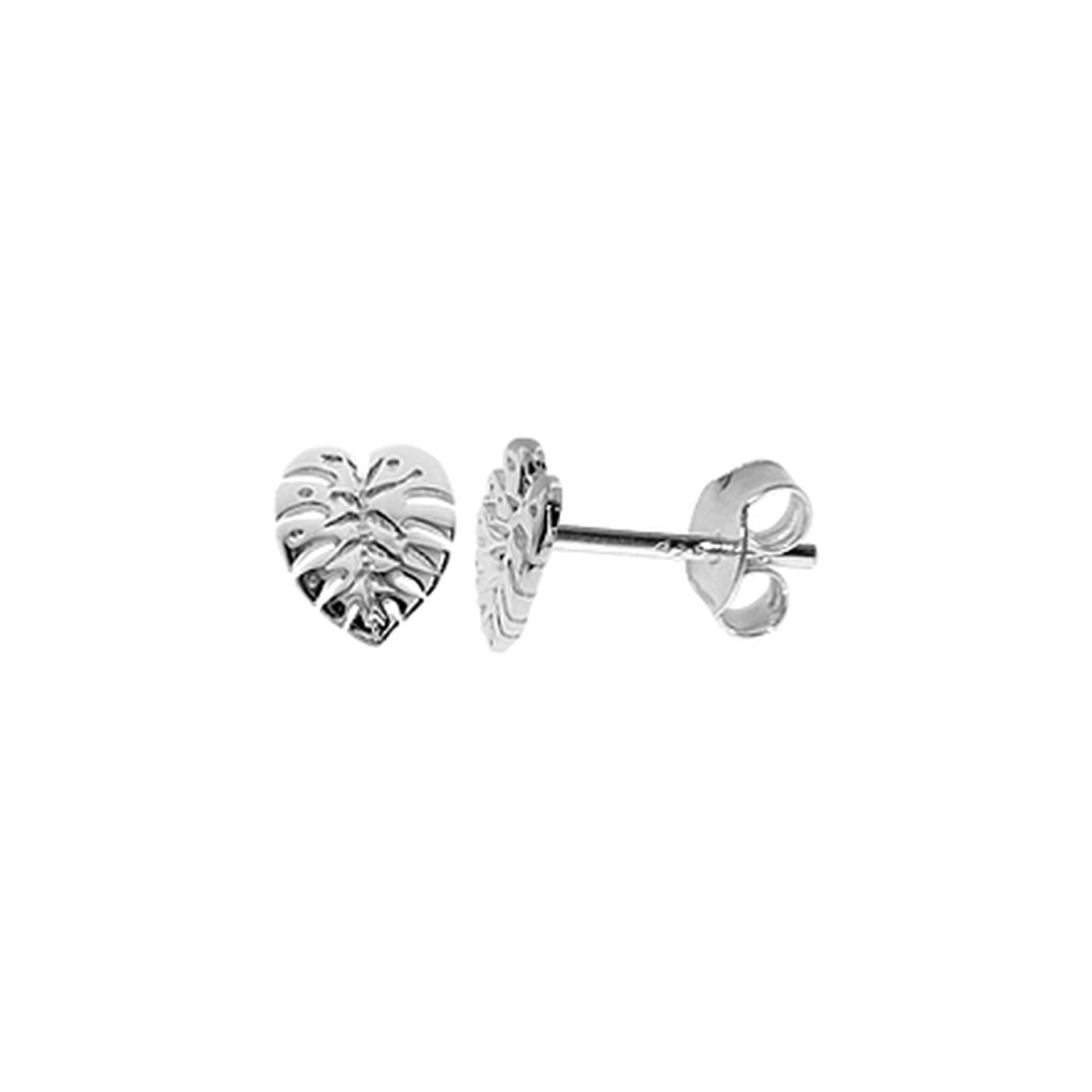 Cora cheese plant leaf studs