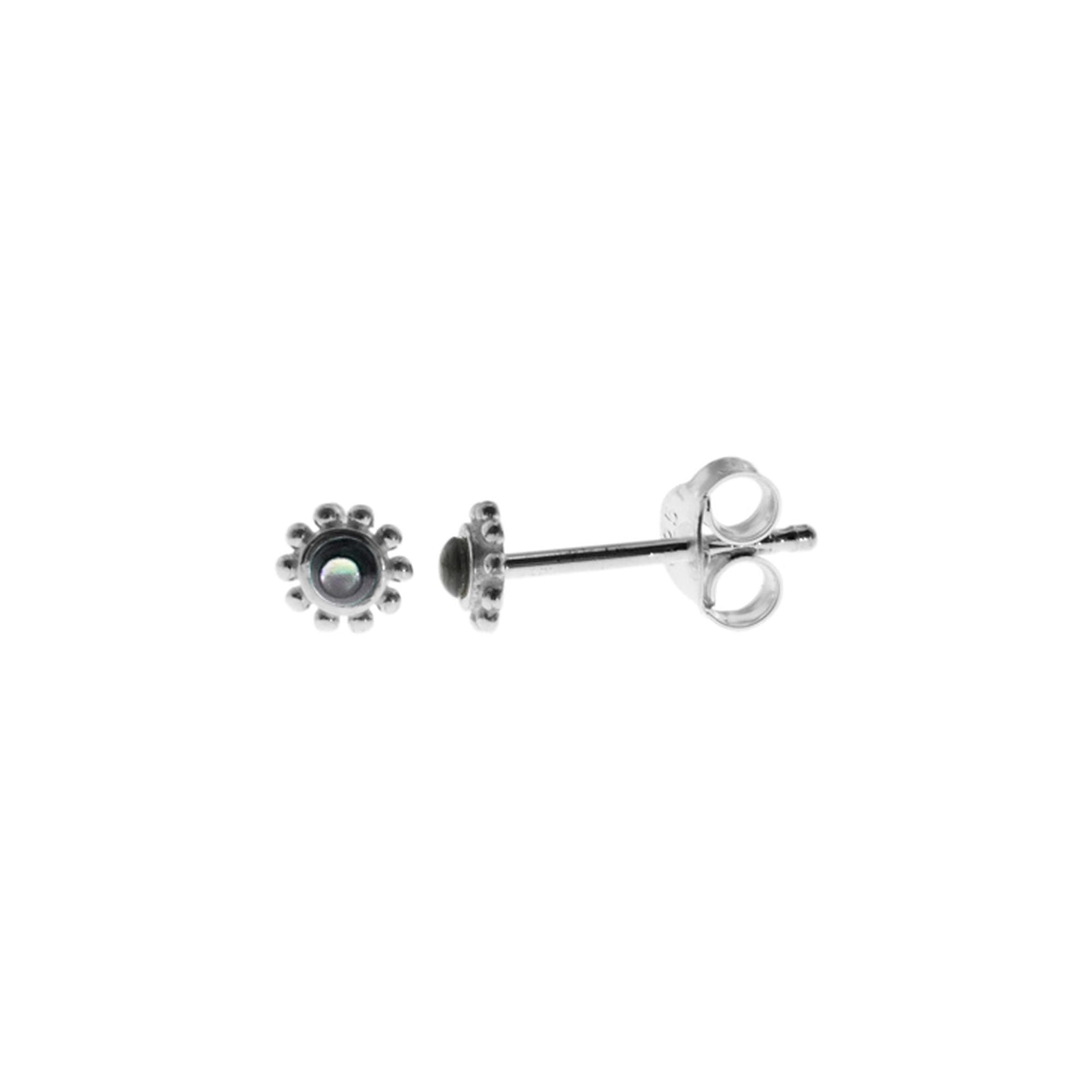 Isla dainty paua shell studs