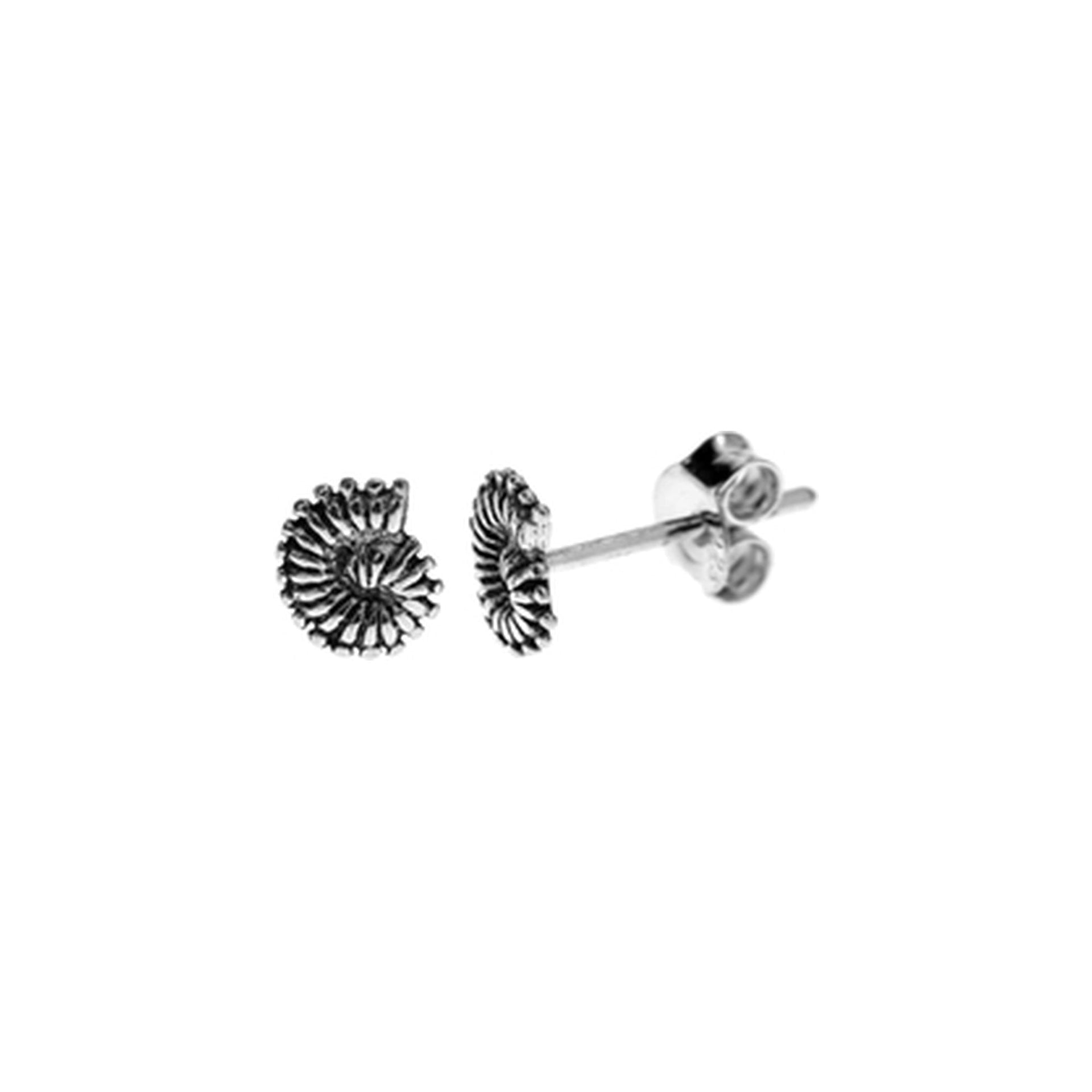 Mila ammonite fossil studs