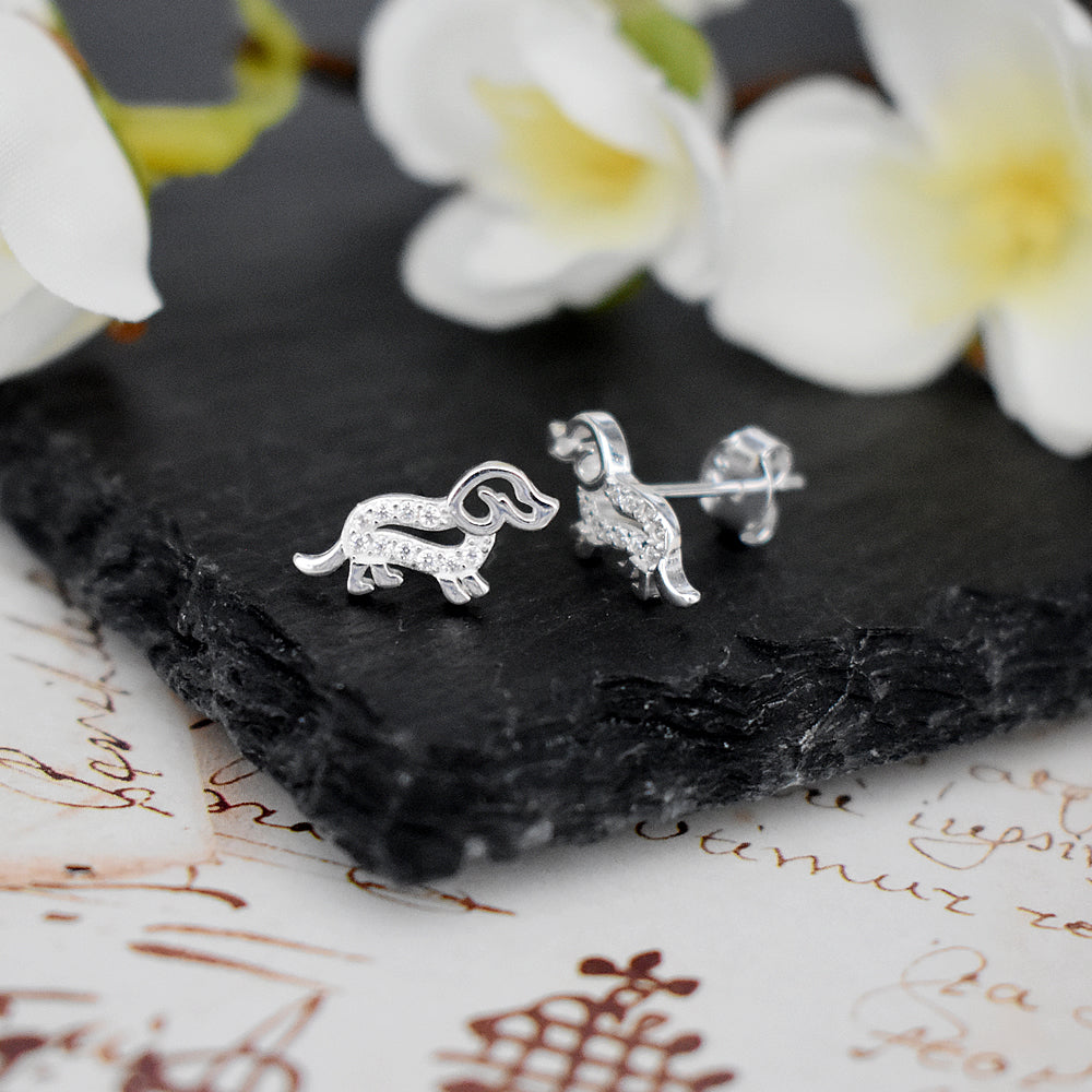 Alianna dachshund CZ studs